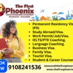 Visa and Immigration Consultant