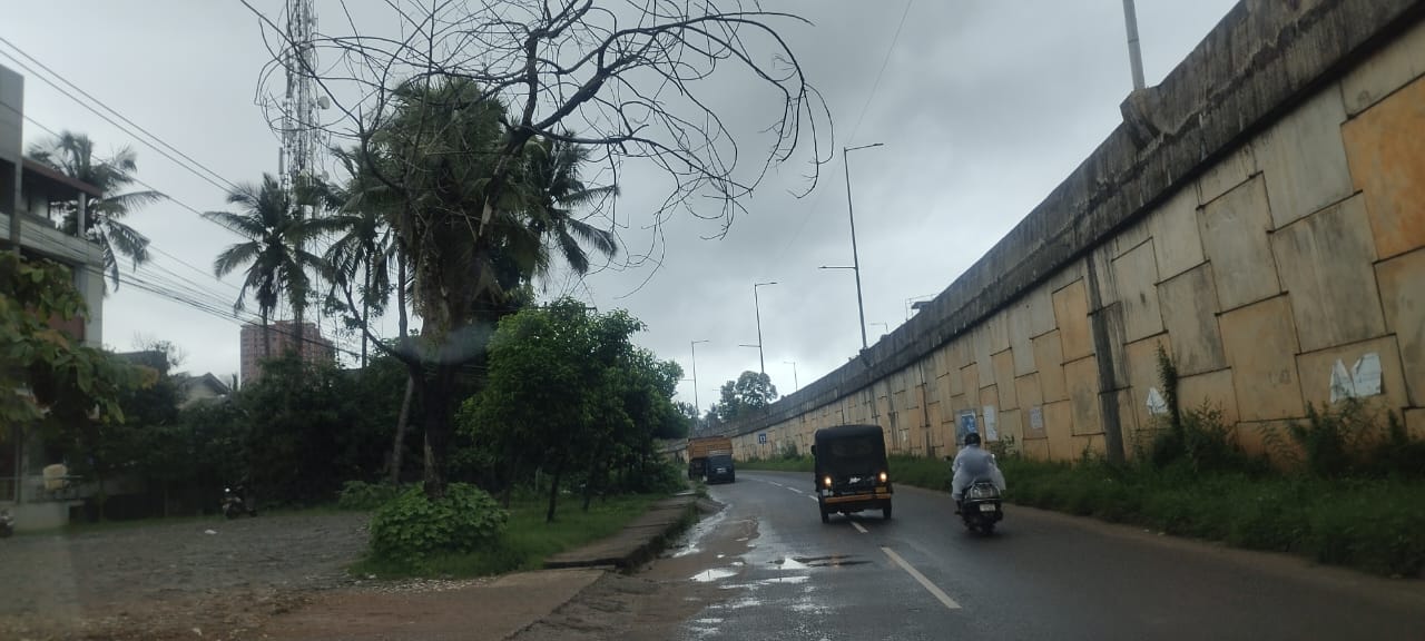 ರಾಷ್ಟ್ರೀಯ ಹೆದ್ದಾರಿ 66ರ ಸರ್ವಿಸ್ ರೋಡಿಗೆ ತಾಗಿ ಕೊಂಡಿರುವ ಒಣಗಿದ ಅಪಾಯಕಾರಿ ಮರ ತೆರವು ಗೊಳಿಸುವಂತೆ, ಉಡುಪಿ ಜಿಲ್ಲೆಯ ಪ್ರಖ್ಯಾತ ಸಾಮಾಜಿಕ ಕಾರ್ಯಕರ್ತರಾದ ಸತೀಶ್ ಪೂಜಾರಿ ಕೀಳಂಜೆ ಯವರ ಆಗ್ರಹ.
