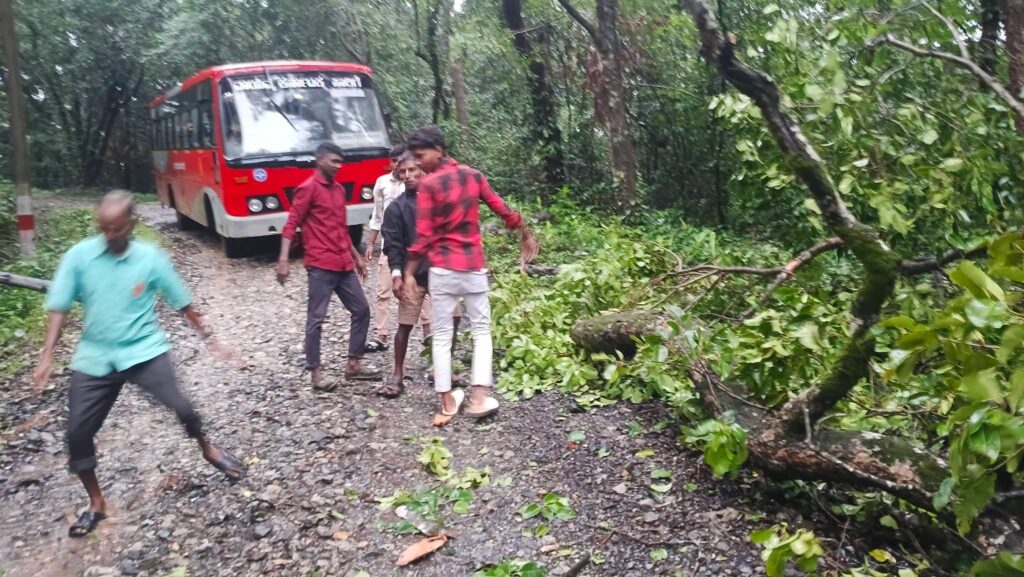 ಮಾರ್ಲಿ ಸಮೀಪ ರಸ್ತೆಗೆ ಮರದ ಬೃಹತ್ ಕೊಂಬೆ ಬಿದ್ದು ಸಂಚಾರಕ್ಕೆ ಅಡಚಣೆ – ಪ್ರಯಾಣಿಕರು, ಕಾಲೇಜು ವಿದ್ಯಾರ್ಥಿಗಳ ಸಮಯೋಚಿತ ಕಾರ್ಯದಿಂದ ತೆರವು
