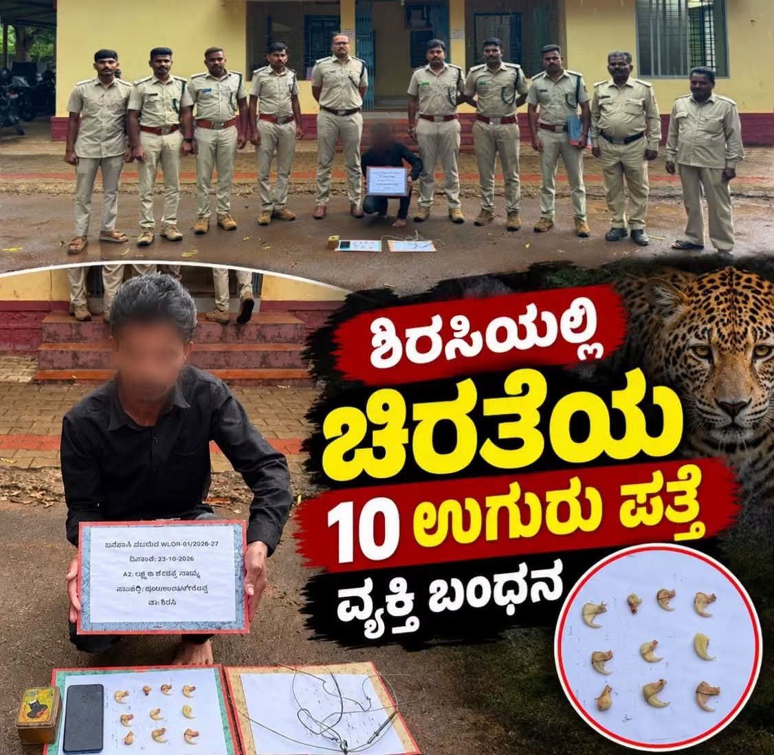 ಶಿರಸಿಯಲ್ಲಿ ಚಿರತೆಯ 10 ಉಗುರು ಪತ್ತೆ; ವ್ಯಕ್ತಿ ಬಂಧನ